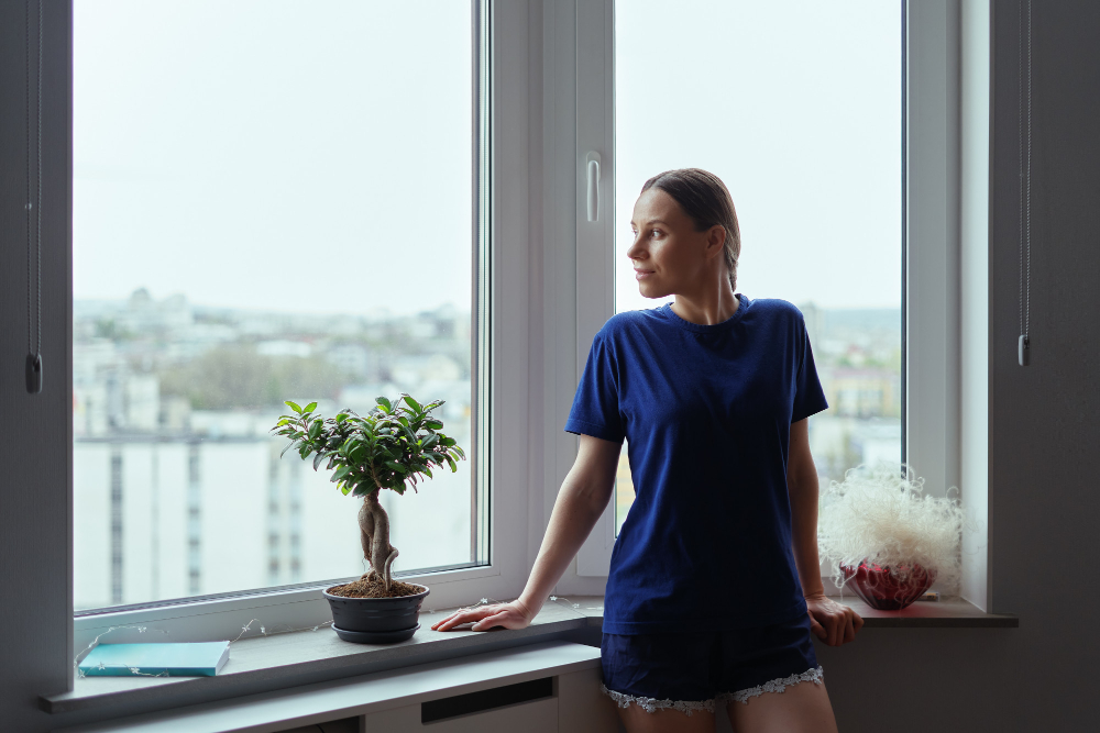 St Louis Bay & Bow Windows